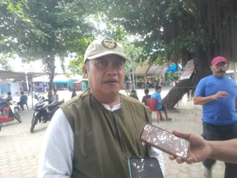 DMI Jayapura: 307 Sapi Dan 100 Kambing Kurban Terdata, Pemkab Untuk Pertama Kali Bantu Semua Masjid