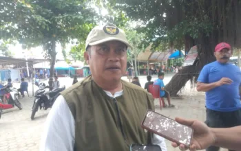 DMI Jayapura: 307 Sapi Dan 100 Kambing Kurban Terdata, Pemkab Untuk Pertama Kali Bantu Semua Masjid
