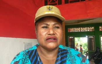 Pemerintah Distrik Ebungfauw Wajibkan Papan Informasi di 5 Kampung Demi Transparansi Dana