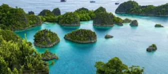 Blue Economy Sebagai Masa Depan Pembangunan Berkelanjutan di Papua