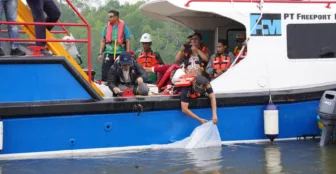 PT Freeport Lepas 10.000 Bibit Baramundi dan 1.000 Kepiting Bakau Untuk Restorasi Ekosistem di Pesisir Mimika