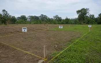 Kementerian ATR BPN Jelaskan Tata Cara Pemecahan Bidang Tanah