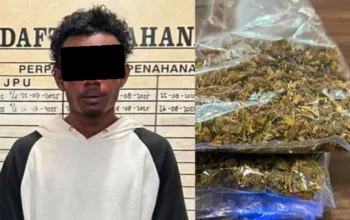 Polisi Amankan Ganja Dari Tas Ransel Seorang Pemuda di Pelabuhan Jayapura