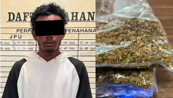 Polisi Amankan Ganja Dari Tas Ransel Seorang Pemuda di Pelabuhan Jayapura