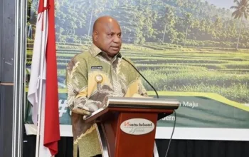 Gubernur Papua: Cetak Sawah 2026 Tak Cukup Selesai, Harus Produktif dan Bermanfaat