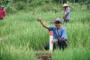 Jaga Keamanan Aset, Dirjen SPPR Imbau Pemilik Tanah Pasang dan Rawat Patok Batas
